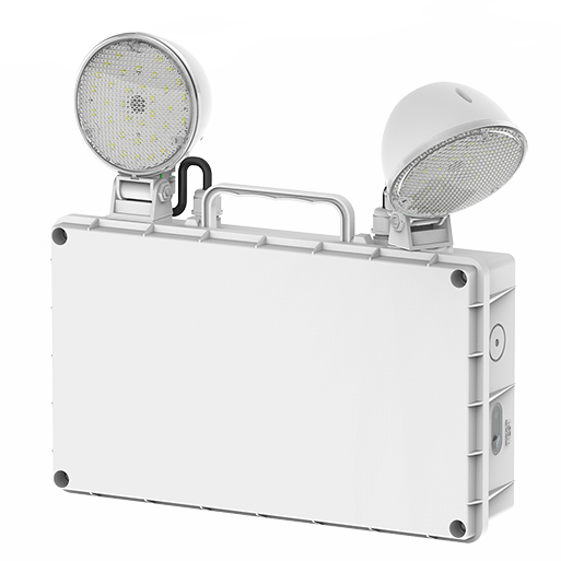 EM Twin Spot Photo #1