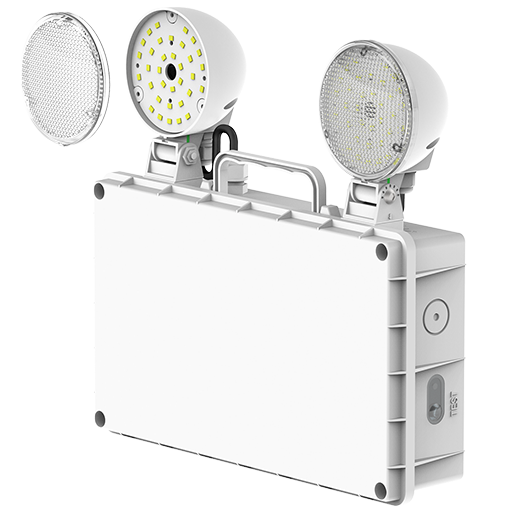 EM Twin Spot Photo #2