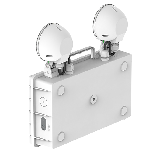 EM Twin Spot Photo #3