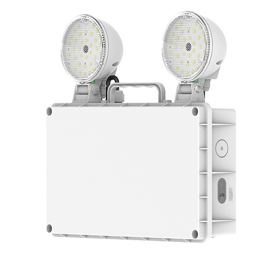 EM Twin Spot Photo #4