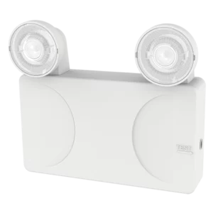 EM Twin Spot Photo #5