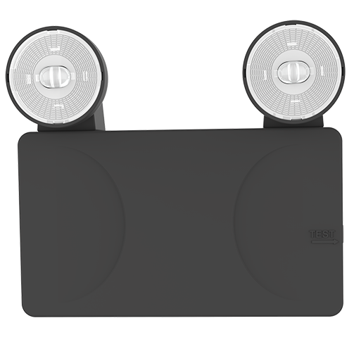 EM Twin Spot Photo #7