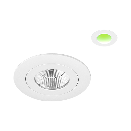 Mondo 3 Product Photo