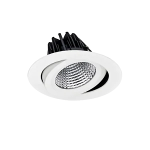 Mondo 6 Product Photo