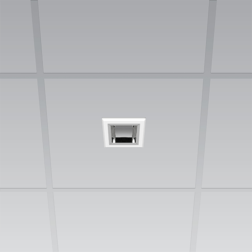 Mondo 7 Product Photo