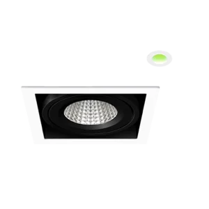 Mondo 8 Product Photo