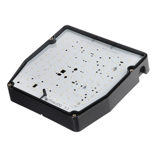 Regor 1 Product Photo