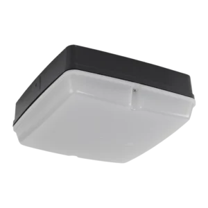 Regor 17 Product Photo