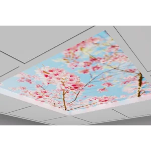 Sky Panel Product Photo