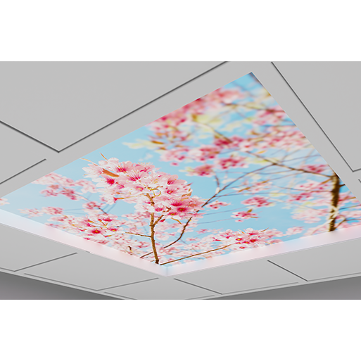 Sky Panel Product Photo