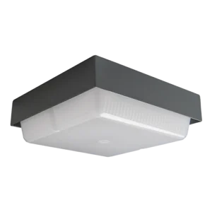 Urban Flat Product Photo